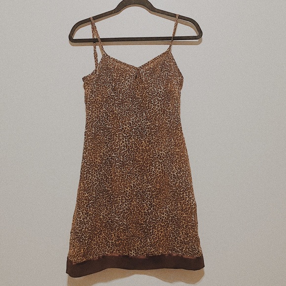 Cheetah bundle - Picture 4 of 8